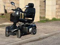 Rollator elektrisch Elektromobil Roller Scooter Seniorenmobil CTM Rheinland-Pfalz - Bad Bergzabern Vorschau