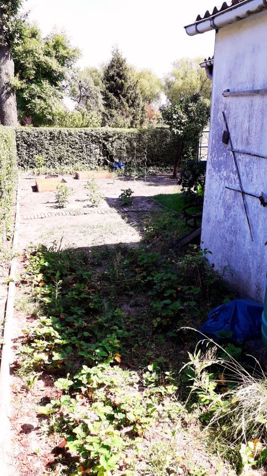 ⭐ Garten mit Bungalow in Teltow Besichtigung auf Anfrage ⭐ in Teltow