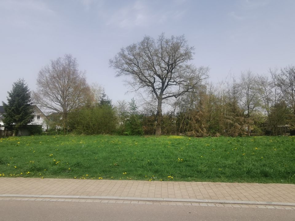 Baugrundstück im Fränkischen Seenland, Muhr am See, teilerschl. in Muhr am See