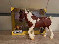 Breyer Pferd „Seamus“ Limitierte Edition Niedersachsen - Hinte Vorschau