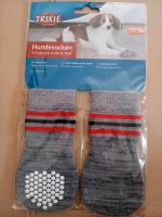 Hundesocken L-XL Schleswig-Holstein - Seth Holstein Vorschau