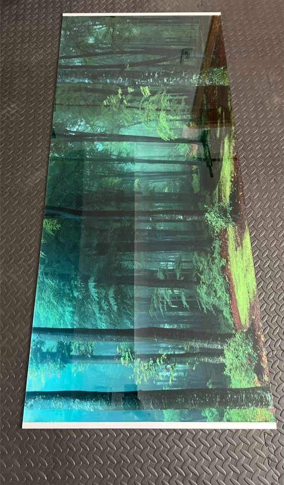 Wandbild Acryl Glas in Rothselberg