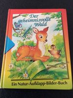 Time Life - DER GEHEIMNISVOLLE WALD - Natur-Aufklapp Buch Kinder Rheinland-Pfalz - Köwerich Vorschau