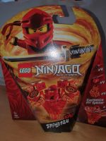 Lego Ninjago Spinjitzu Set 70659 Leipzig - Schönefeld-Abtnaundorf Vorschau