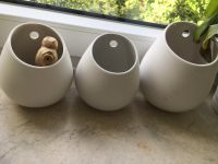 6 Haken mit 4 Behältern für Ikea Küche München - Laim Vorschau