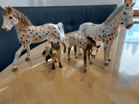 Schleich Pferde Bayern - Blaichach Vorschau