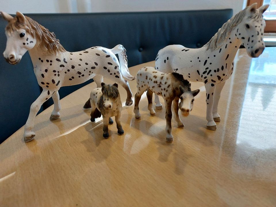 Schleich Pferde in Blaichach