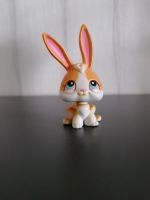 Little Petshop - Hase #75 Sachsen-Anhalt - Jessen (Elster) Vorschau