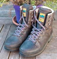 Meindl Island Hanf, Goretex, 41.5, 7.5, Top-Zustand Wanderschuhe Nordrhein-Westfalen - Solingen Vorschau