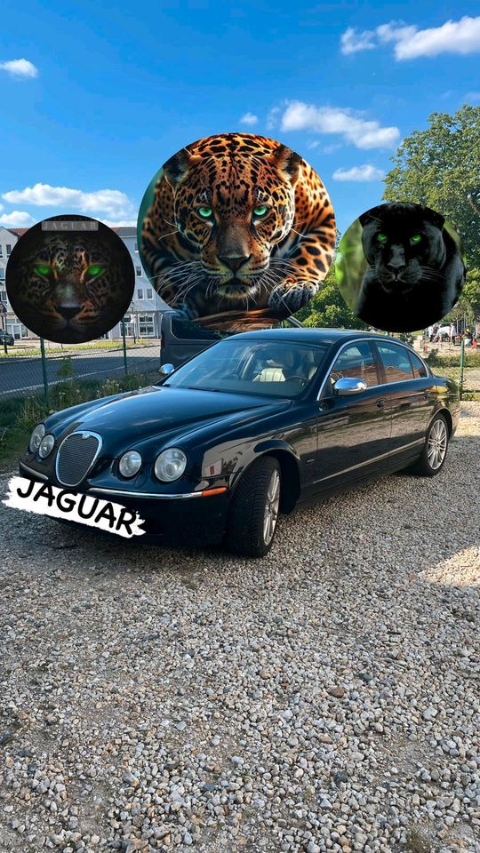 Ich suche Jaguar Diesel V6 207 PS in Zwickau