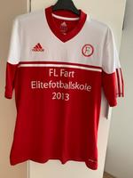 T-Shirt Kurzarmälige Sportshirt Gr. L Adidas Climalite Sachsen - Görlitz Vorschau