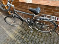 Fahrrad Rabeneick SLT 870 AL Bayern - Iphofen Vorschau