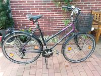 Rabeneick Sport City Fahrrad lila 17 Zoll fahrtüchtig Ledersattel Niedersachsen - Hatten Vorschau