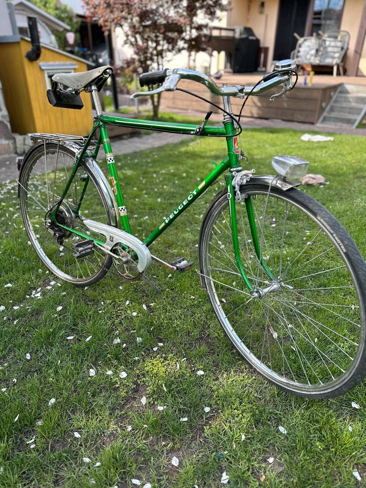 Peugeot, Fahrrad, Vintage, 70er, Klassiker, Herrenrad in Finsterwalde