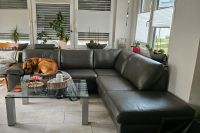 Couch mit Kopfstütze und Tisch Nordrhein-Westfalen - Meschede Vorschau