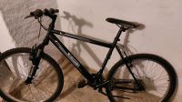 Fahrrad 28 zoll Kiel - Pries-Friedrichsort Vorschau