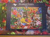 Bluebird Puzzle - Kitten Fun - 1000 Teile - Vollständig Münster (Westfalen) - Wolbeck Vorschau