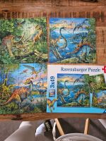 Puzzle Ravensburger Dinosaurier 3×49 Bayern - Erlangen Vorschau