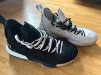 LeBron XVI - 42 gebraucht drinnen und draußen Bonn - Endenich Vorschau