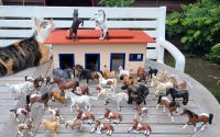 XXXXL SCHLEICH SAMMLUNG Nordrhein-Westfalen - Troisdorf Vorschau