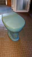 DDR WC Toilette Klo Stand Druckspüler Deckel blau Ostalgie unbenu Sachsen - Zeithain Vorschau