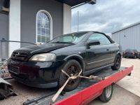 Opel Astra G Cabrio Bertone Ersatzteile Teilespender Schlachtfest Nordrhein-Westfalen - Brakel Vorschau