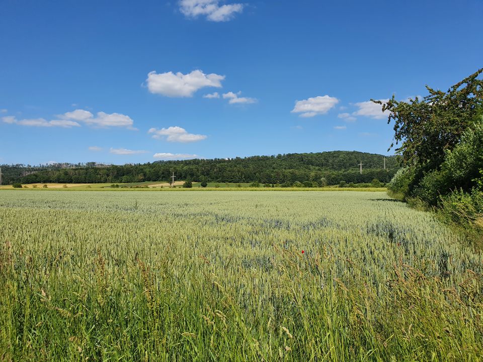 Für alle, die es großzügig lieben. Ihr Familienhaus im kommenden Baugeb. in Münchehof. in Seesen