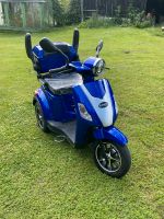 Rolektro E-Trike 25 V.2, Blau, 1000 Watt Sachsen - Reinsberg Vorschau