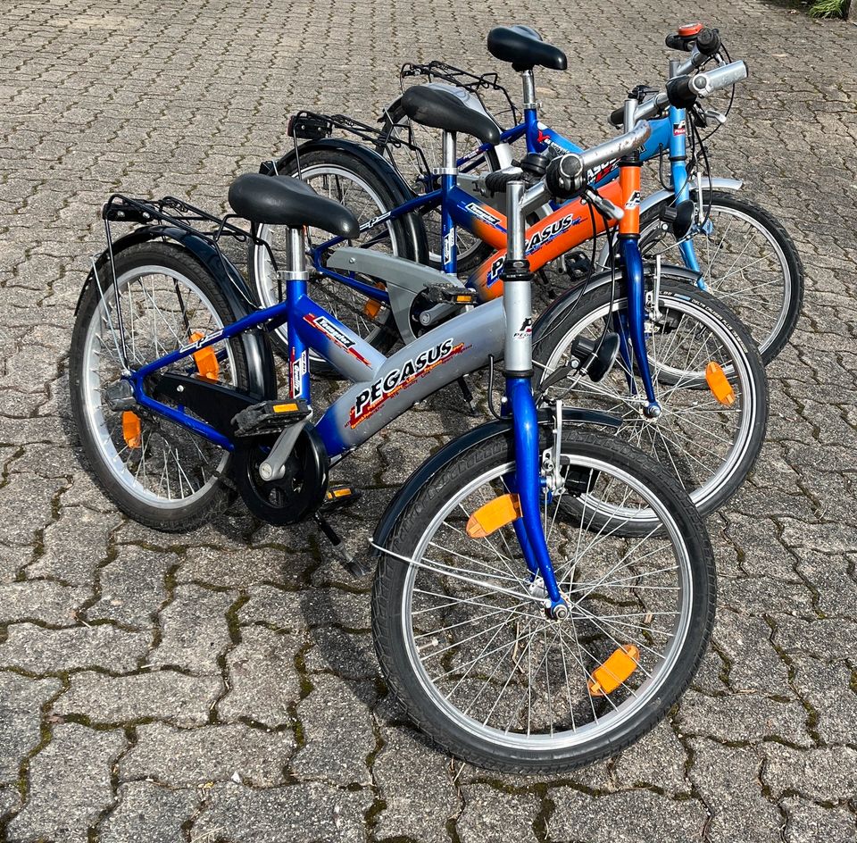 Pegasus 21 Zoll Kinderfahrrad, 3-Gang in Kandern