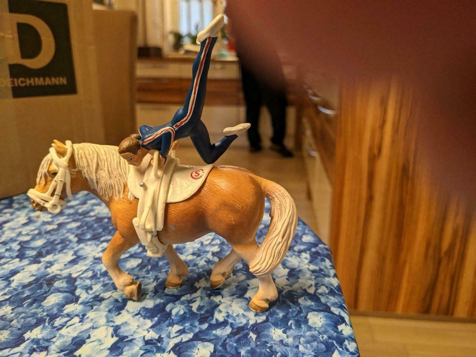 Schleich Voltigierer mit Zubehör und Pferd in Schermbeck