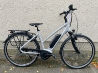 E-TREKKINGBIKE GUDEREIT EC3 TRAPEZ 400WH AKKU Mecklenburg-Vorpommern - Anklam Vorschau