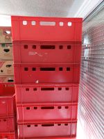 Rote Kisten, Fleischerkisten, Lagerkisten Brandenburg - Lebus Vorschau