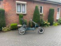 Van Raam Easy Rider Neuer Unterstützung, verstärkten Rahmen Rheinland-Pfalz - Werkhausen Vorschau