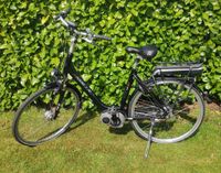 E-Bike Gazelle Arroyo Bosch R8H Fahrrad Niedersachsen - Neukamperfehn Vorschau