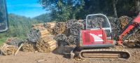 Brennholz Ofen Holz Baden-Württemberg - Gütenbach Vorschau