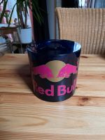 Red Bull Eiskühler/Eiswürfel Hessen - Edermünde Vorschau