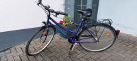 Goldrad Damen Fahrrad City Bike 28 Zoll mit Computer und Schloss Hessen - Eschenburg Vorschau