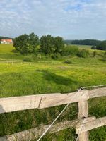 Platz im Offenstall, kl. Herde, Reitplatz, Ausreitgelände :-) Niedersachsen - Melle Vorschau