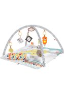 NEU OVP Fisher-Price GKD45 Baby Spieldecke Hessen - Wiesbaden Vorschau