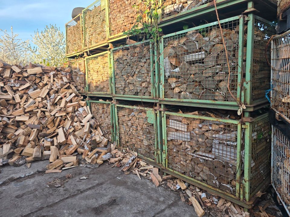 Kaminholz Eiche Buche Hartholz kein Nadelholz in Bannewitz