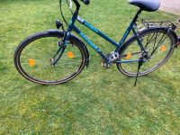 Fahrrad Nakamura Ranger 400 Trible3Track Nordrhein-Westfalen - Moers Vorschau