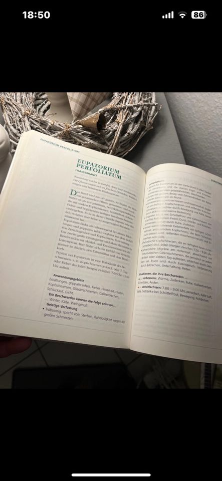 Großes Buch der Homöopathie, neu, nur durchgeblättert in Wesselburen