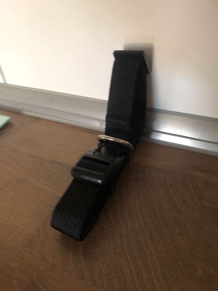 2 Hundehalsband Militär Nylon Halsband mit Griff Verstellbar Gr.L in Köln