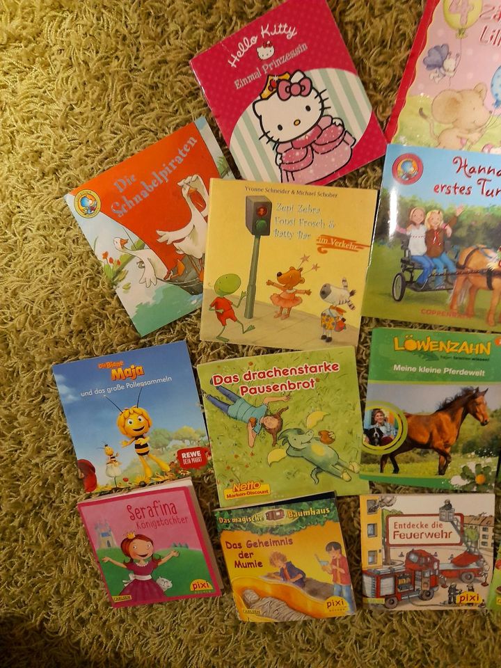 Pixi Bücher für Kinder 19 Stück in Herford