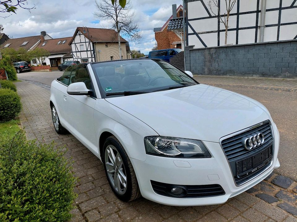 Audi A3  TDI 2.0 cabrio Ambition in Weilerswist