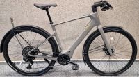 Cannondale Tesoro Neo Carbon 1, Bosch Performance SX, AXS,(L+XL) Niedersachsen - Scheeßel Vorschau