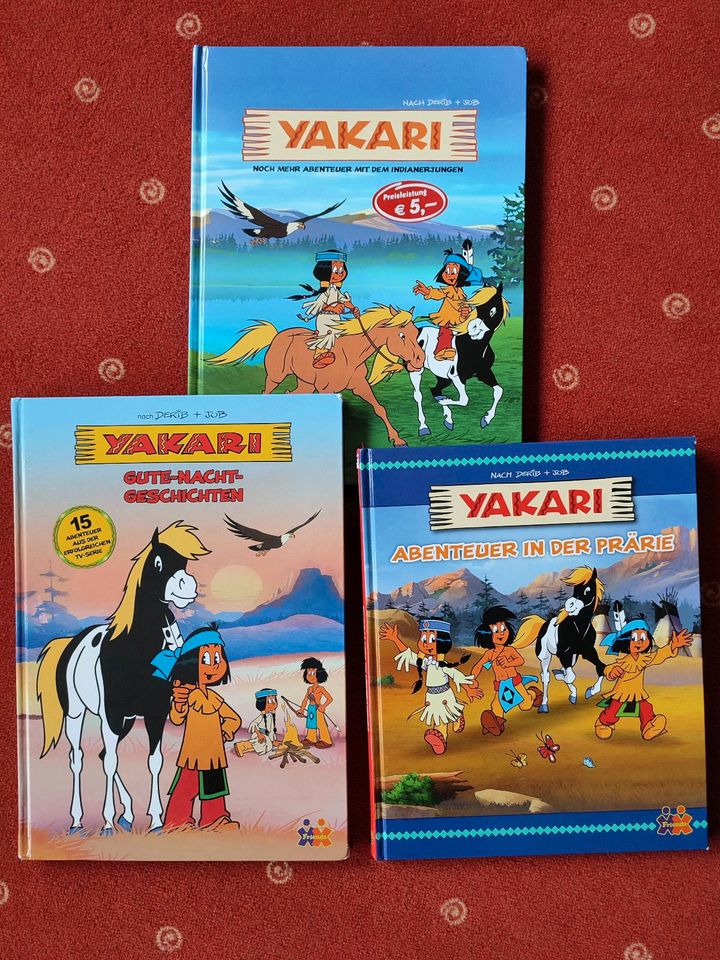 Yakari-Bücher in Sontheim