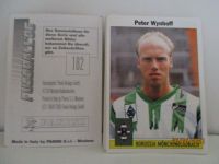 Panini Sammelbilder Bundesliga 1995 zum aussuchen Nordrhein-Westfalen - Willich Vorschau