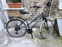 Stevens Jazz RH 46 City Trekking Rad Fahrrad Damen Köln - Longerich Vorschau