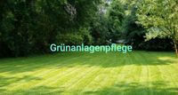 Grünanlagenpflege Entrümpelung Haushaltsauflösung uvm Brandenburg - Rheinsberg Vorschau